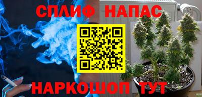 мяу мяу мука Бугуруслан