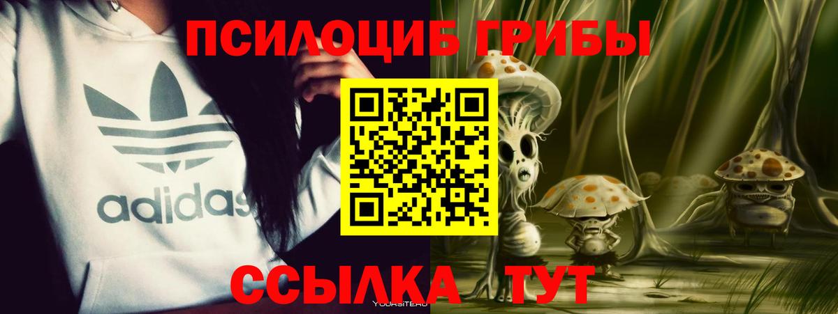 Псилоцибиновые грибы GOLDEN TEACHER  как найти   Набережные Челны  Галлюциногенные грибы GOLDEN TEACHER  Вход с VPN 